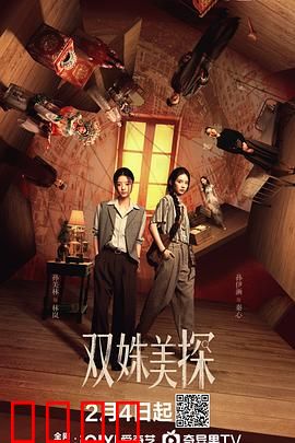 双姝美探：美艳搭档破奇案
