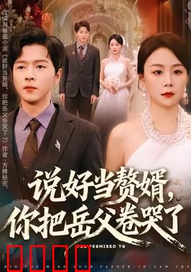 说好当赘婿，你把岳父卷哭了：逆袭商业天才