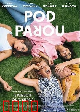 酒精计划2025：中年男人的狂欢