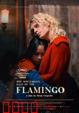 弗拉明戈的神秘眼神：舞蹈背后的秘密