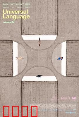 共同的语言：心灵的桥梁