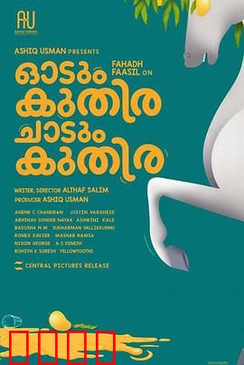 一匹马奔跑，一匹马跳跃：情感羁绊