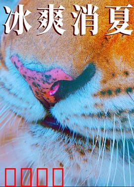 寒冰白血：冰封下的生命守护