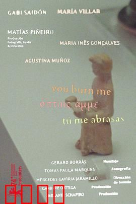 你燃烧了我：爱的灰烬