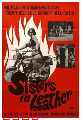 皮衣姐妹：黑市魅影