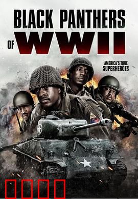 二战黑豹：钢铁巨兽的终局