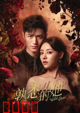 熟悉的她：消失的记忆