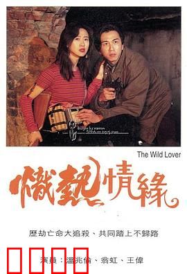 炽热情缘粤语：爱恨纠葛