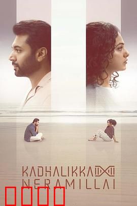 无暇顾爱：爱情无需计划