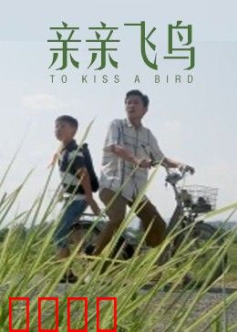 亲亲飞鸟：守护者的爱情