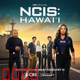 海军罪案调查处：铁血探案组