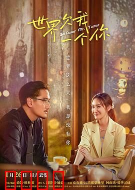 世界欠我一个你：用一生去等待