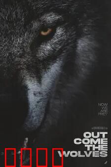 狼群出动：绝境反击的勇士