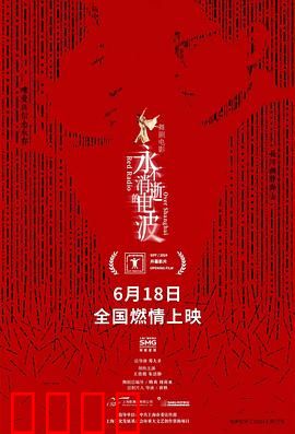 永不消逝的电波2024：暗战风云