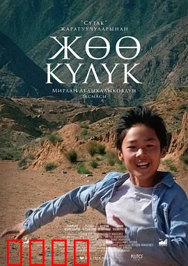 冲向天际：梦想与牺牲