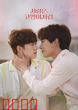 爱情像猫一样：自由的代价