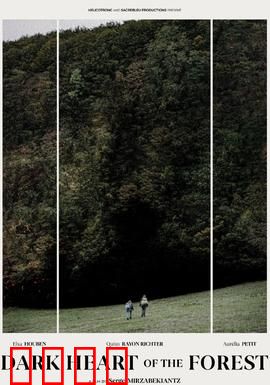 森林的黑暗心脏：迷雾中的诅咒