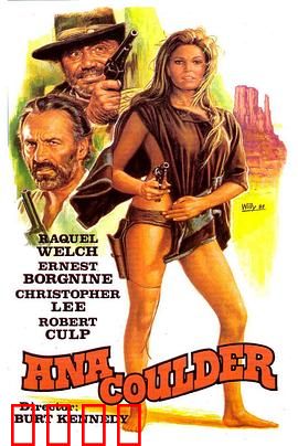 复仇的女枪手：荒野追凶路