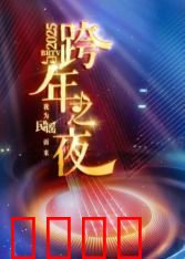 2025北京卫视跨年：璀璨星夜