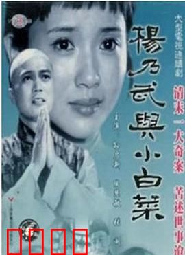杨乃武与小白菜1990：冤案昭雪记