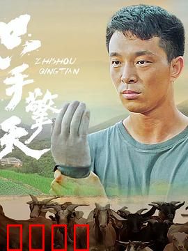 只手擎天：独臂拳王