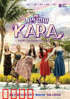 只有没有我，KARA：虚拟自我