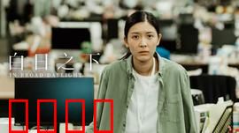 白日之下：黑暗中的真相