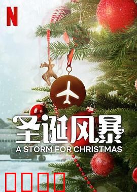 圣诞风暴：爱在风雪间