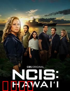 海军罪案调查处：大案揭秘