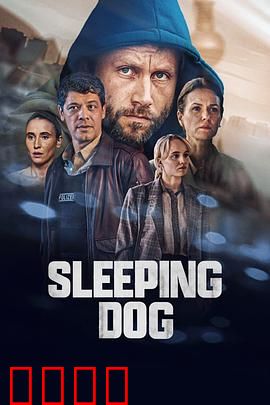 沉睡的真相：雪夜谜案