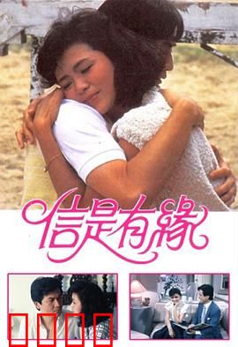 信是有缘粤语：缘分天定