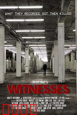 目击者2019：惊魂72小时