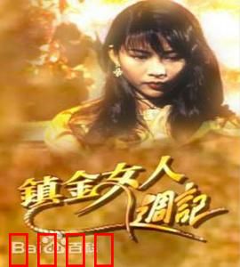 镇金女人周记粤语：女性成长记