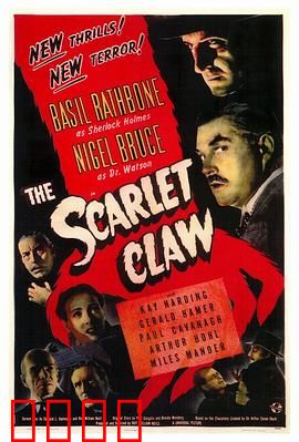 红爪子：暗夜追凶