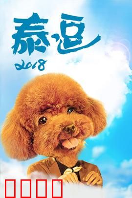 泰逗2018：爆笑泰式囧途