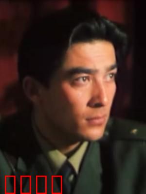 阿娜的生日：意外真相