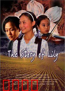 百合的故事：静默绽放