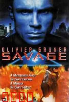 机密特区：黑客危机