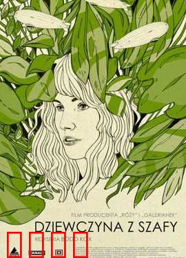 衣橱里的她1：衣柜中的秘密