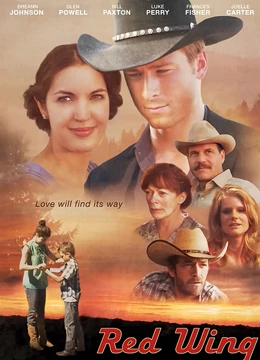 隐形红翼：天空的幽灵