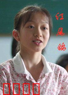 红尾鸽：血色复仇