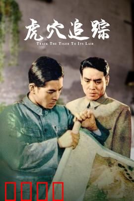 虎穴追踪：卧底风云