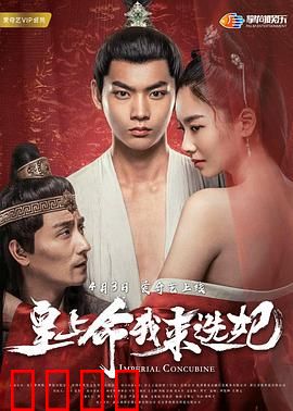 皇上命我来选妃：逆袭攻略