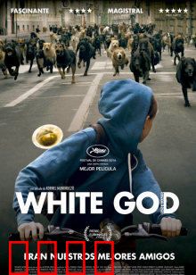 白色上帝：少女与狗的逆袭