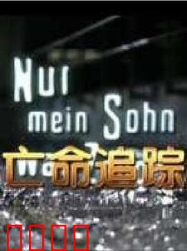 亡命追踪：极速复仇