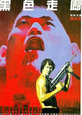 黑色走廊：毒枭覆灭记