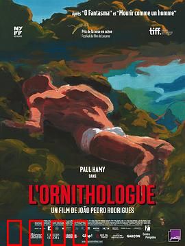 鸟类学家：神秘森林迷踪