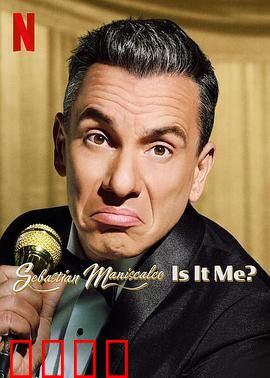 塞巴斯蒂·曼尼斯卡科：黑帮卧底风云