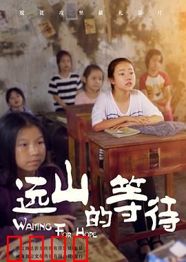 远山的等待：百年守望