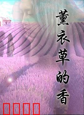 薰衣草的香：爱情的治愈